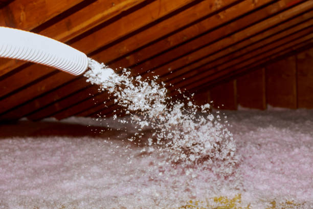 Best Professional Insulation Contractor  in Leesport, PA